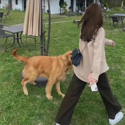 完美关系